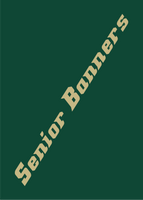 Customized Class of 2024 Senior Banner Only